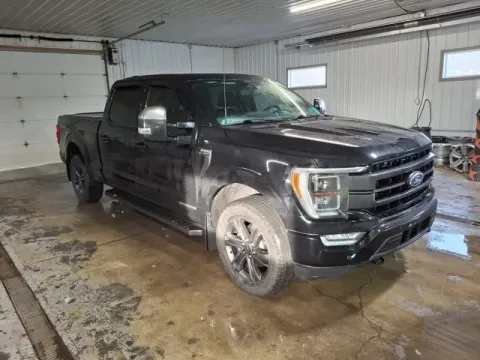 Another view of 2022 Ford F-150 Lariat for sale in Michigan Center, MI at Monster Motors - Jackson, MI