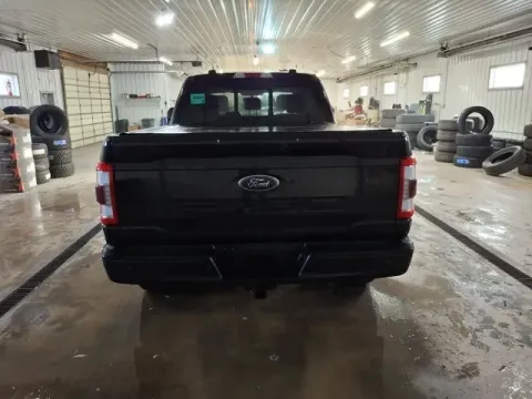 More photos of 2022 Ford F-150 Lariat at Monster Motors - Jackson, MI, MI