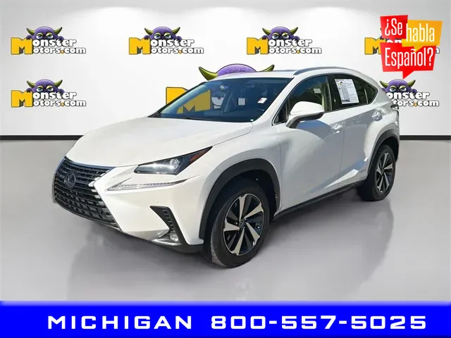 2020 Lexus NX Hybrid 300h's photo