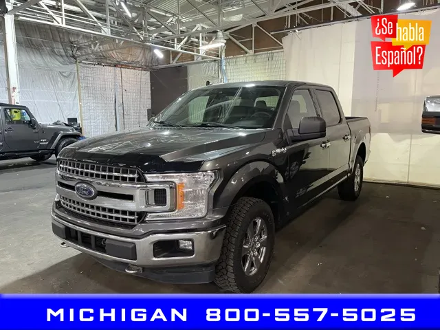 2019 Ford F-150 for sale in Michigan Center, MI