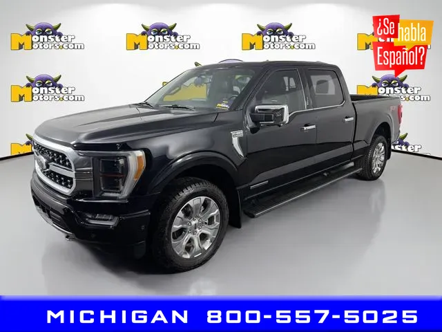 2022 Ford F-150 Platinum for sale in Michigan Center, MI