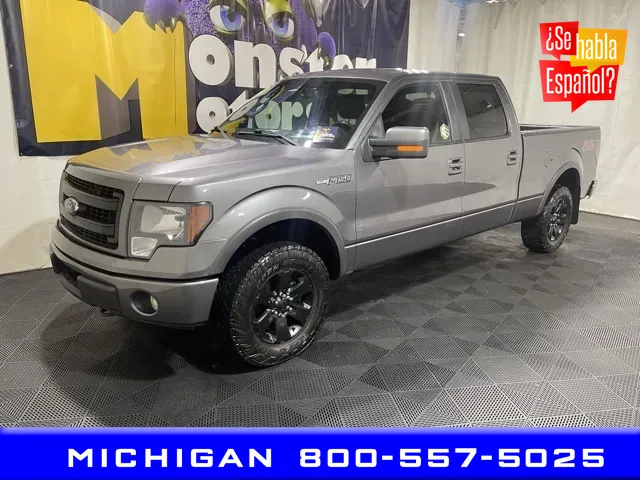 2014 Ford F-150 FX4 for sale in Michigan Center, MI