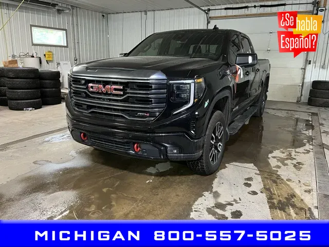 2024 GMC Sierra 1500 AT4 for sale in Michigan Center, MI