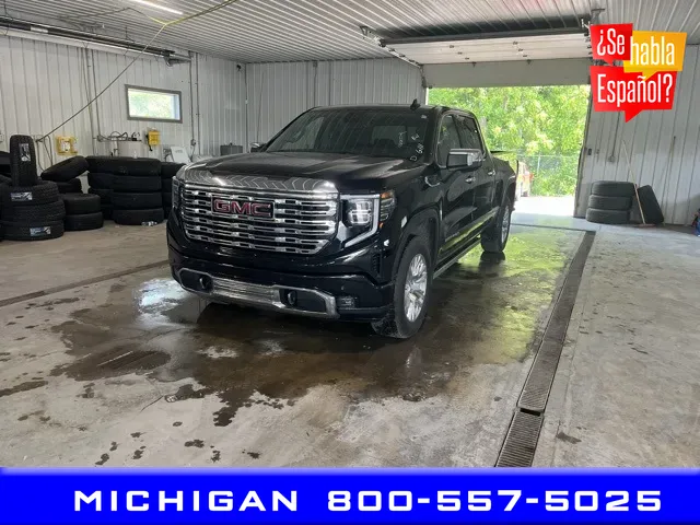 2022 GMC Sierra 1500 Denali for sale in Michigan Center, MI