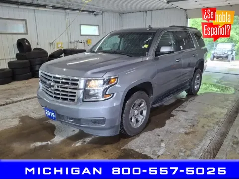 Gray 2019 Chevrolet Tahoe LS for sale in Michigan Center, MI
