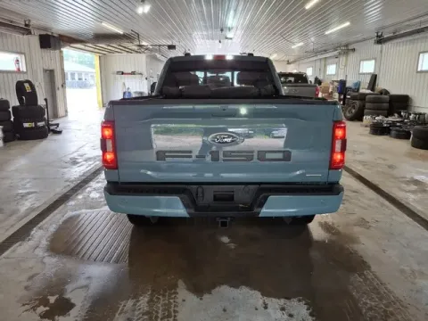 More photos of 2023 Ford F-150 XLT at Monster Motors - Jackson, MI, MI