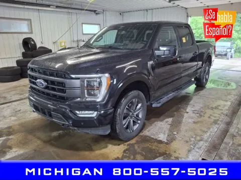 Black 2023 Ford F-150 Lariat for sale in Michigan Center, MI