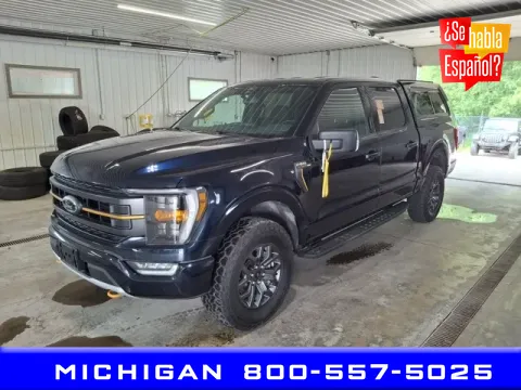 Blue 2022 Ford F-150 Tremor for sale in Michigan Center, MI