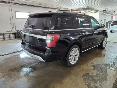 More photos of 2019 Ford Expedition Platinum at Monster Motors - Jackson, MI, MI