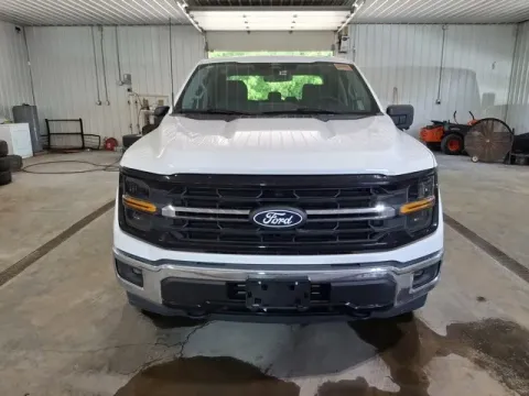 Photos of 2024 Ford F-150 XLT for sale in Michigan Center, MI at Monster Motors - Jackson, MI
