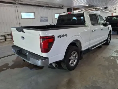 More photos of 2024 Ford F-150 XLT at Monster Motors - Jackson, MI, MI