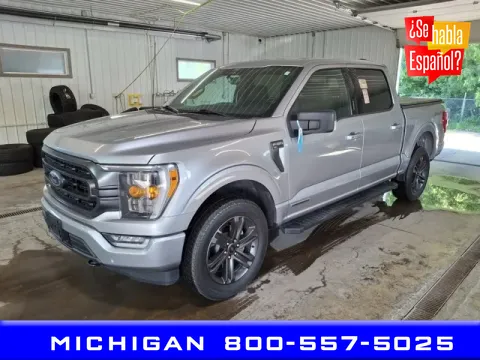Silver 2022 Ford F-150 for sale in Michigan Center, MI