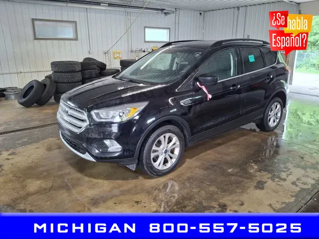 2019 Ford Escape SEL for sale in Michigan Center, MI