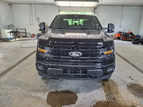 Photos of 2024 Ford F-150 XLT for sale in Michigan Center, MI at Monster Motors - Jackson, MI