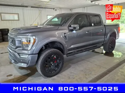 Gray 2023 Ford F-150 Lariat for sale in Michigan Center, MI