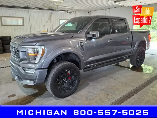 Gray 2023 Ford F-150 Lariat for sale in Michigan Center, MI