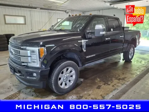 Black 2019 Ford F-250SD for sale in Michigan Center, MI