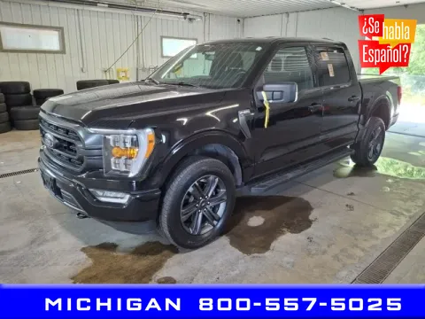 Black 2023 Ford F-150 for sale in Michigan Center, MI