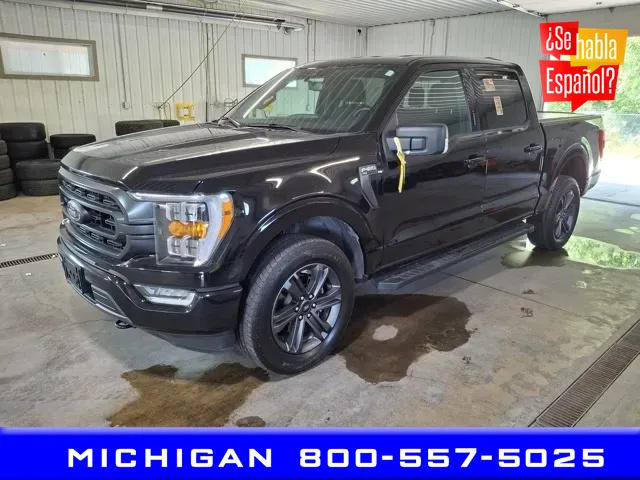 Black 2023 Ford F-150 XLT for sale in Michigan Center, MI