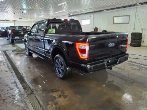 More photos of 2023 Ford F-150 at Monster Motors - Jackson, MI, MI