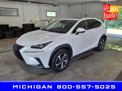 White 2020 Lexus NX 300h for sale in Michigan Center, MI