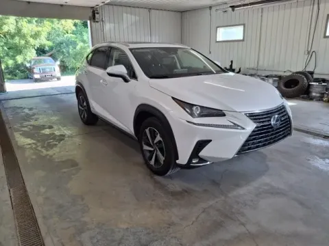 Another view of 2020 Lexus NX 300h for sale in Michigan Center, MI at Monster Motors - Jackson, MI