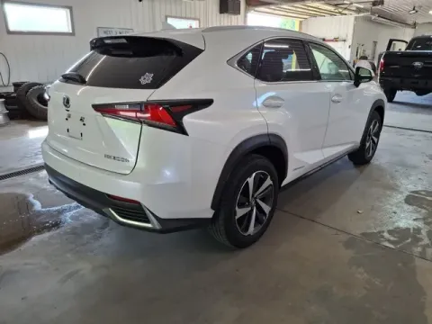 More photos of 2020 Lexus NX 300h at Monster Motors - Jackson, MI, MI