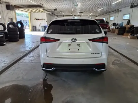 More photos of 2020 Lexus NX 300h at Monster Motors - Jackson, MI, MI