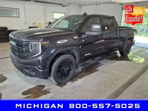 Gray 2022 GMC Sierra 1500 Elevation for sale in Michigan Center, MI