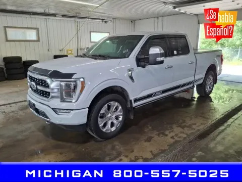 Gray 2023 Ford F-150 for sale in Michigan Center, MI