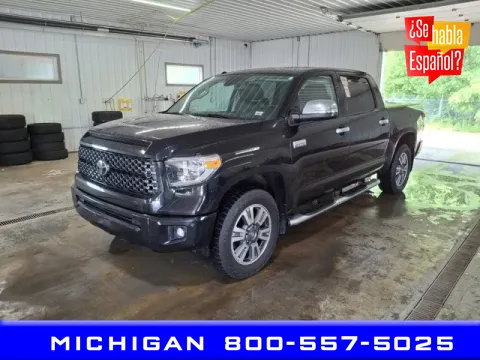 Black 2019 Toyota Tundra Platinum for sale in Michigan Center, MI