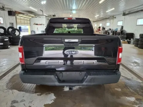 More photos of 2019 Ford F-150 XLT at Monster Motors - Jackson, MI, MI
