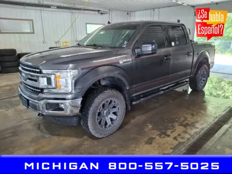 Gray 2019 Ford F-150 for sale in Michigan Center, MI