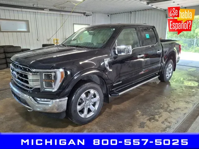 Black 2022 Ford F-150 Lariat for sale in Michigan Center, MI