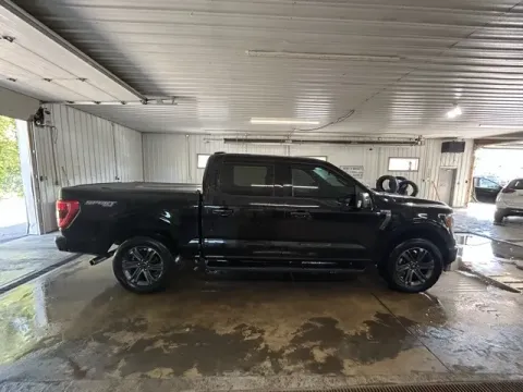 More photos of 2023 Ford F-150 XLT at Monster Motors - Jackson, MI, MI