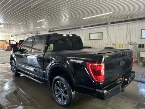 More photos of 2023 Ford F-150 XLT at Monster Motors - Jackson, MI, MI
