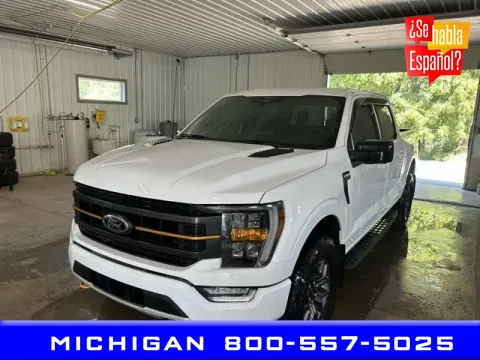 White 2022 Ford F-150 Tremor for sale in Michigan Center, MI