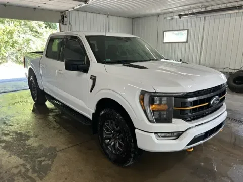 Another view of 2022 Ford F-150 Tremor for sale in Michigan Center, MI at Monster Motors - Jackson, MI