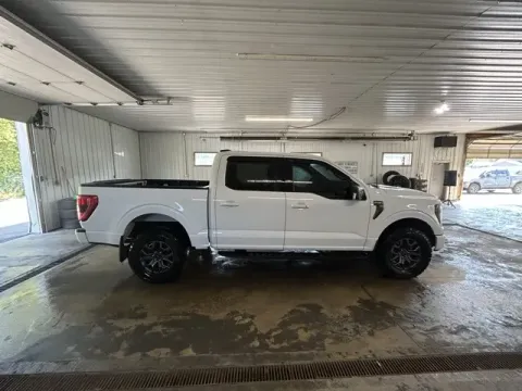 More photos of 2022 Ford F-150 Tremor at Monster Motors - Jackson, MI, MI