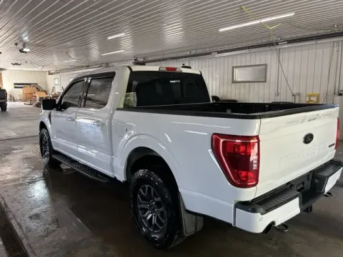 More photos of 2022 Ford F-150 Tremor at Monster Motors - Jackson, MI, MI