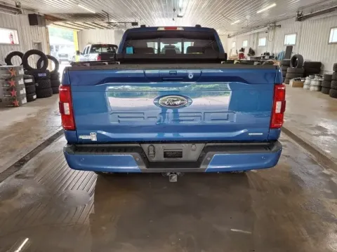 More photos of 2023 Ford F-150 XLT at Monster Motors - Jackson, MI, MI