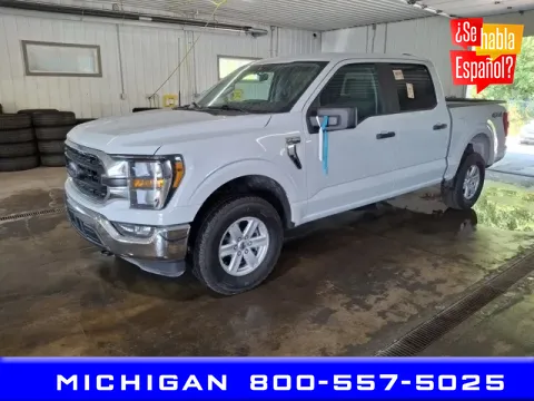 Gray 2023 Ford F-150 XLT for sale in Michigan Center, MI