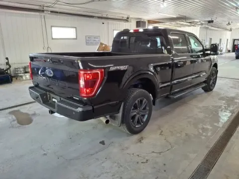 More photos of 2023 Ford F-150 XLT at Monster Motors - Jackson, MI, MI