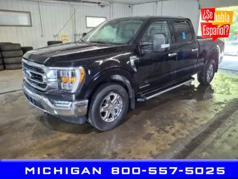 Black 2023 Ford F-150 XLT for sale in Michigan Center, MI