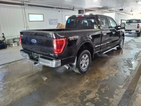 More photos of 2023 Ford F-150 XLT at Monster Motors - Jackson, MI, MI