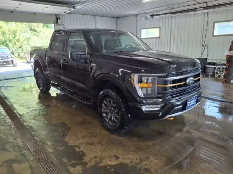 Another view of 2022 Ford F-150 Tremor for sale in Michigan Center, MI at Monster Motors - Jackson, MI
