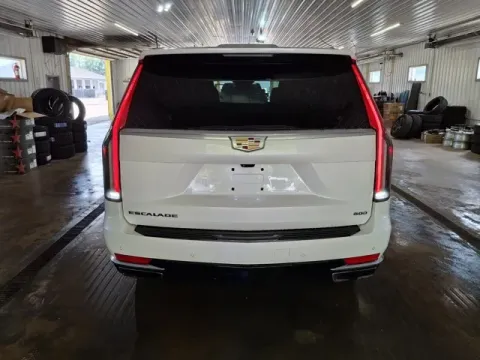 More photos of 2021 Cadillac Escalade ESV Premium at Monster Motors - Jackson, MI, MI