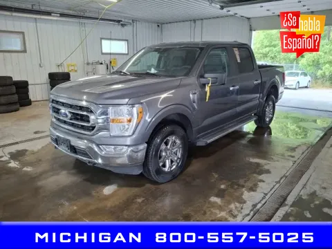 Gray 2023 Ford F-150 XLT for sale in Michigan Center, MI