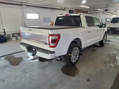 More photos of 2021 Ford F-150 Limited at Monster Motors - Jackson, MI, MI