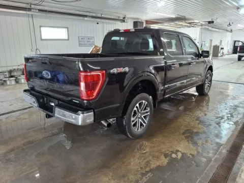 More photos of 2023 Ford F-150 XLT at Monster Motors - Jackson, MI, MI